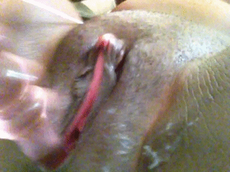 tumblr_n259rx1Q6R1scqca7o1_400.gif