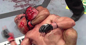 tumblr_mplhmwwDv51ry1rm7o1_400.gif
