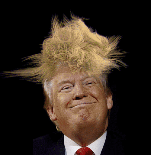 62578d36147d122703d000227237e182.gif