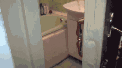giphy.gif