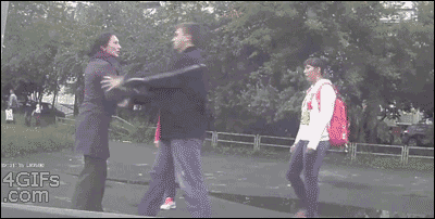 giphy.gif