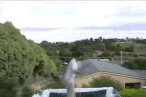 tumblr_mhovmg9Gzl1qgmkwbo1_400.gif