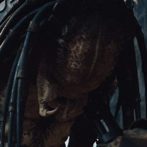 tumblr_o8sf6zPiDX1v7xmebo1_500.gif