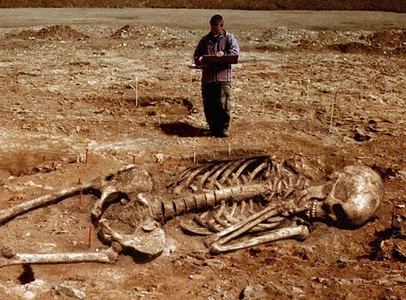 nephelim-skeleton.jpg