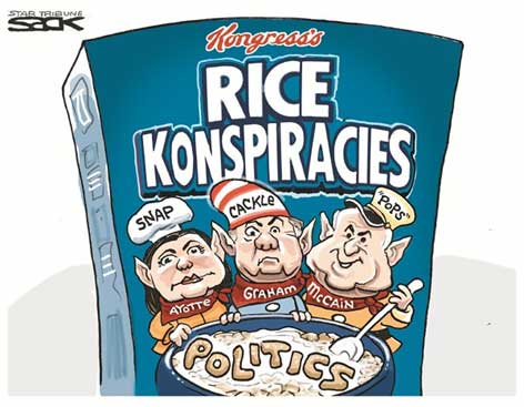 ricegopsack.jpg