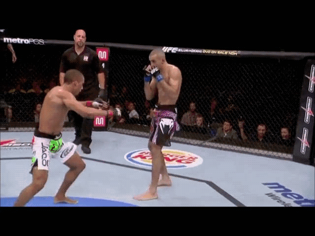 UFC%20knockout.gif