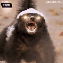 memepool-samusalo.gif