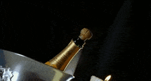 champagne-bubbly.gif