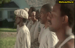 tumblr_mt3ngj83211svt5w5o1_r1_250.gif