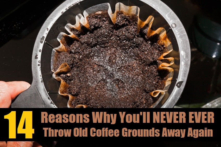 old-coffee-grounds.jpg