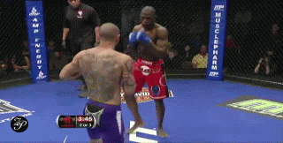3333.gif