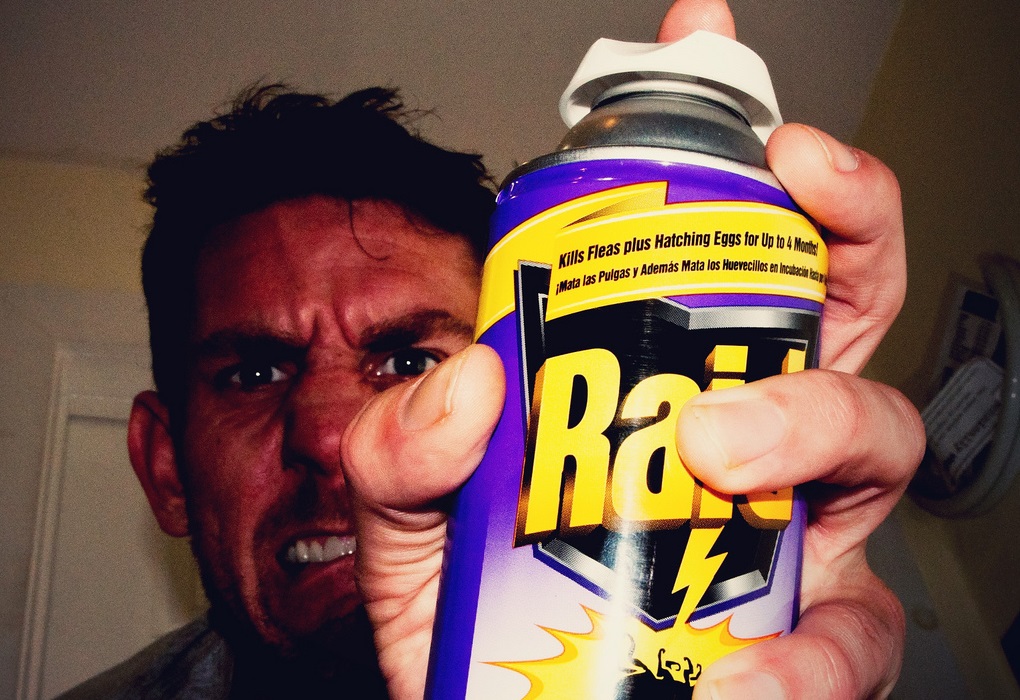 Raid-spray.jpg
