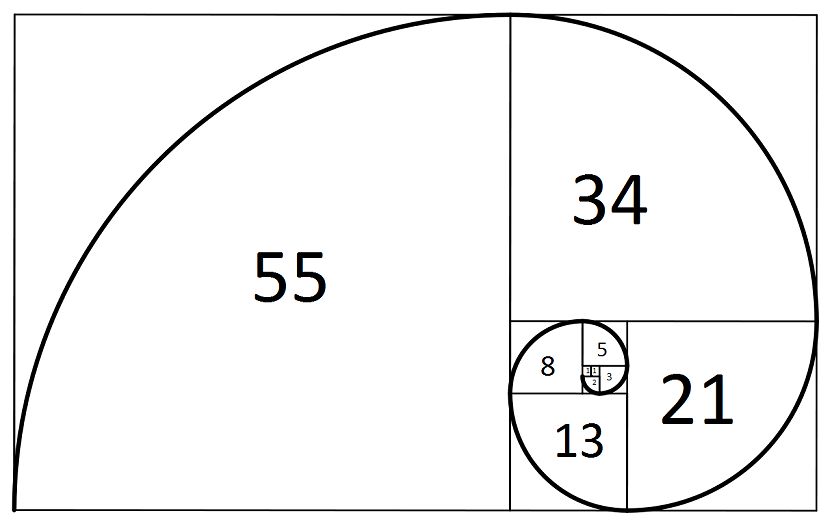fibonacci-spiral.png