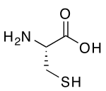 150px-Cysteine.svg.png
