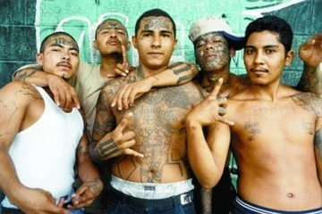 MS-13.jpg