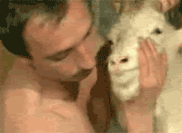 Goat-Kiss-Gif.gif