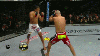 Jose_Aldo_vs._Mark_Hominick_1.gif