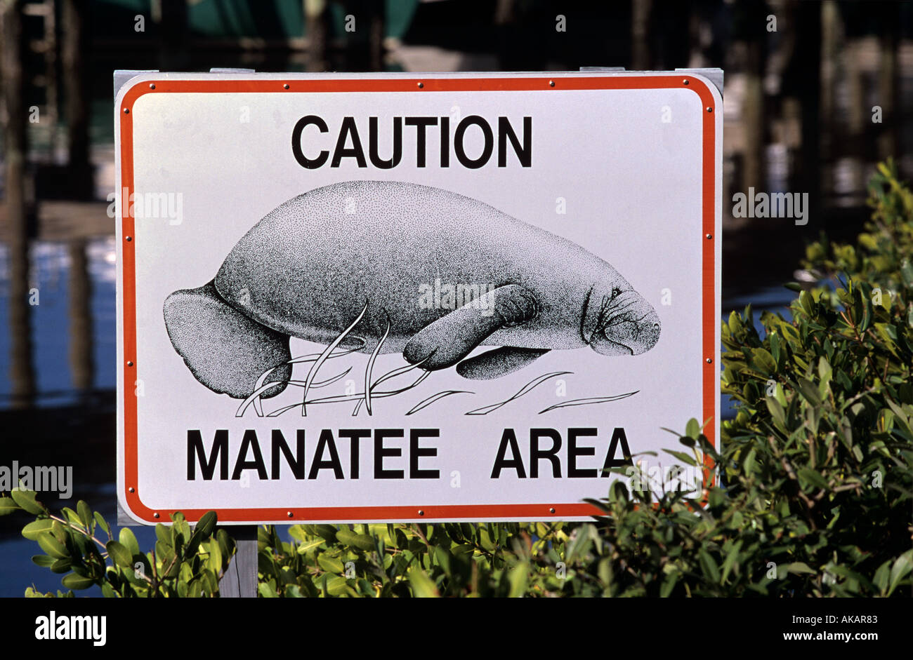 manatee-warning-sign-florida-usa-AKAR83.jpg