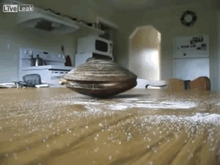 05.gif