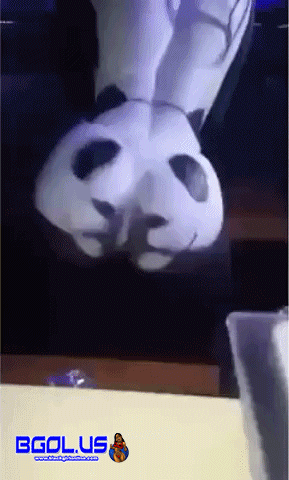 W3ZUsg2r.gif