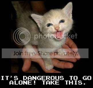 dangerouscatuz5.jpg