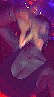tumblr_nr5b45Gm8P1tkolwbo1_250.gif