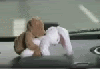 BearandRabbit.gif