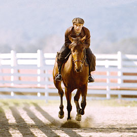 seabiscuit.jpg