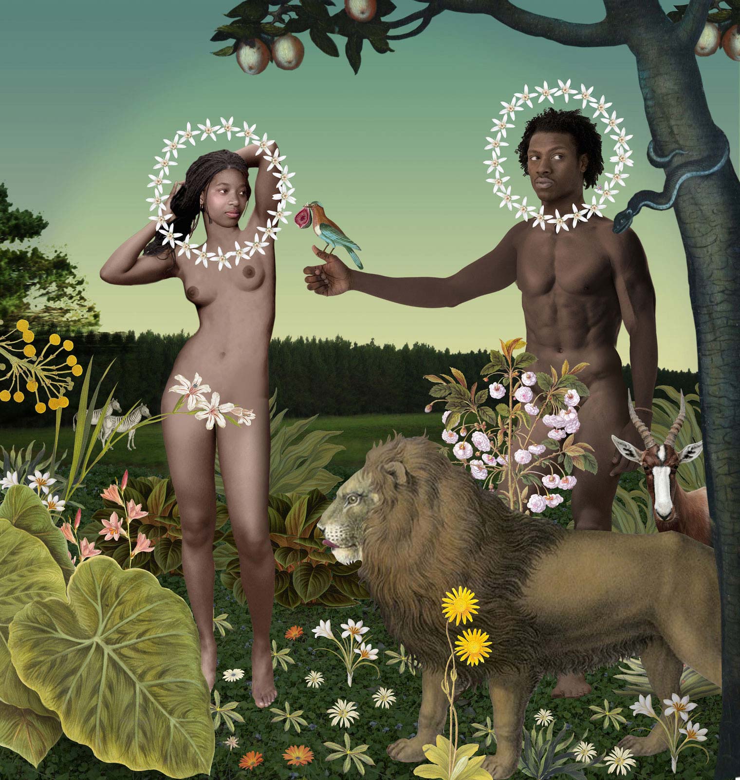 partial-shade-adam-and-eve.jpg