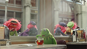 tumblr_inline_n8x40p1WaX1sbfyb2.gif