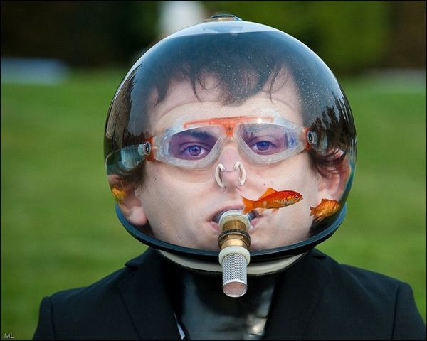 6b7c5af1fef5a89bf4db3cec6edab4b4--goldfish-bowl-fishbowl.jpg