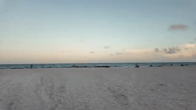 C8763-C45-47-F8-4-DC7-B16-D-F9001-A1-F1-C76.gif