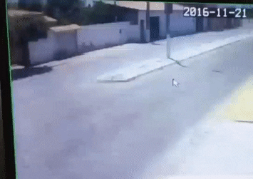 tumblr_ohai7acFpA1rhpn4yo1_400.gif