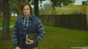 c9B.gif