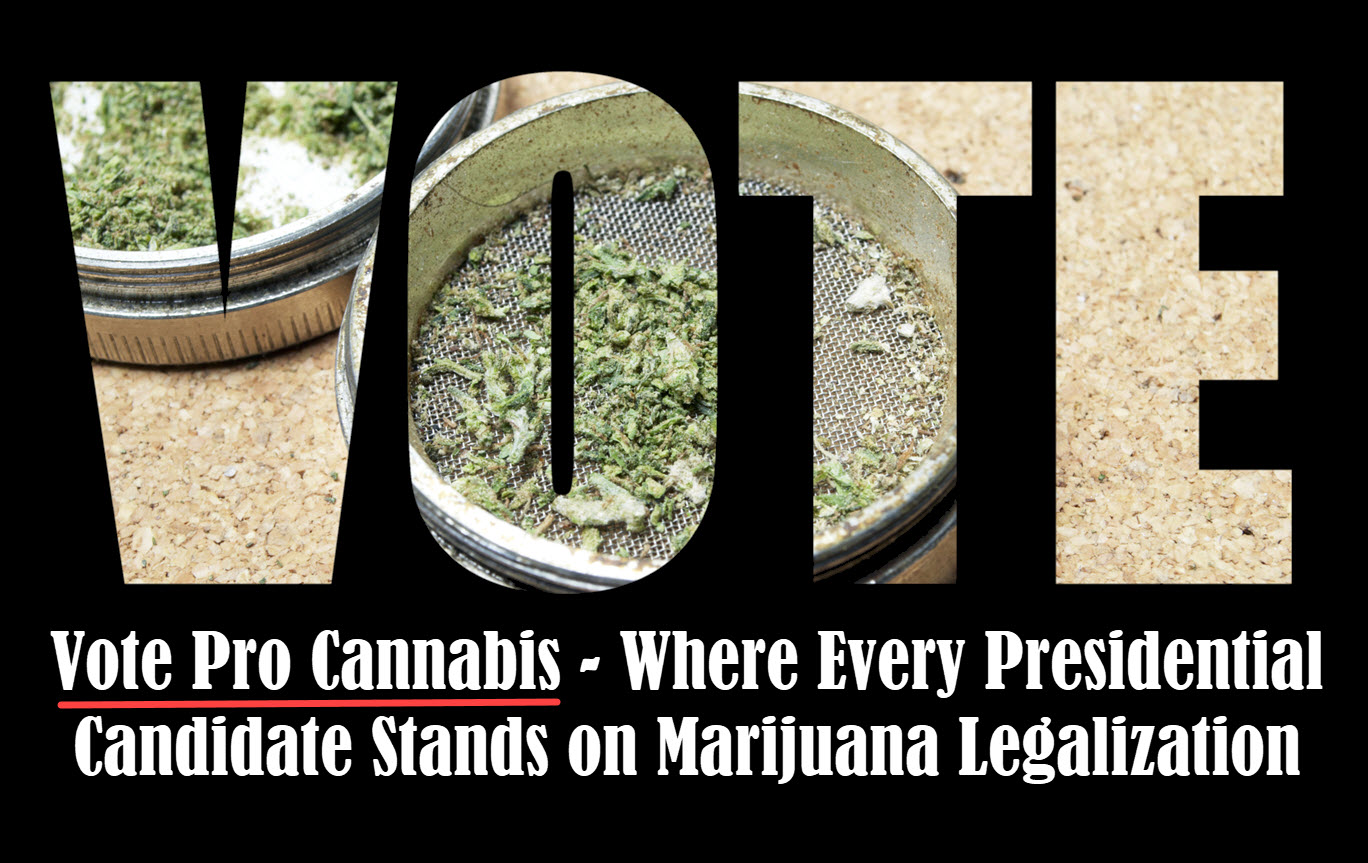 3743_KnVS_promarijuanavotecandidates.jpg