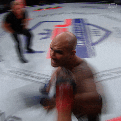 giphy-downsized-large.gif