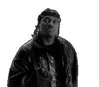 200w.gif