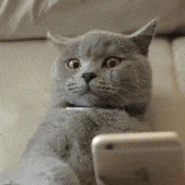 29f3b240d8007ae0159af8981d9a6621.gif