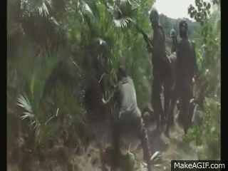 UN5fpZ.gif