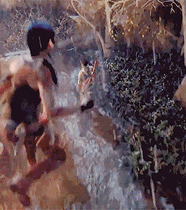 tumblr_nsoo7imxo31sq2xoeo1_400.gif
