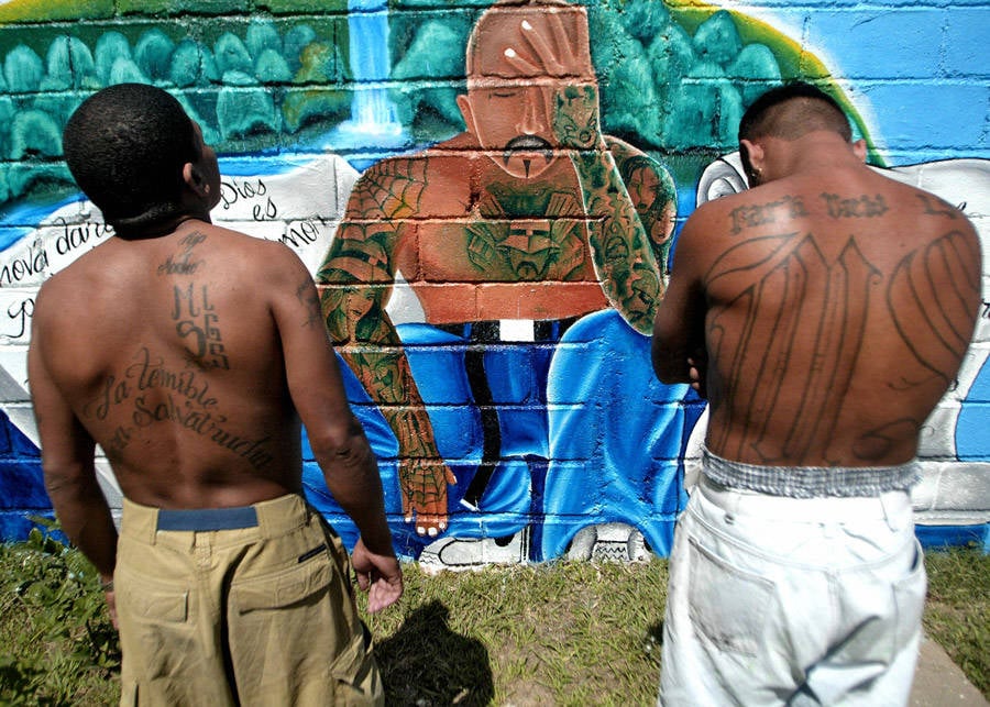 MS-13 Members