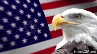 iaaLn5.gif