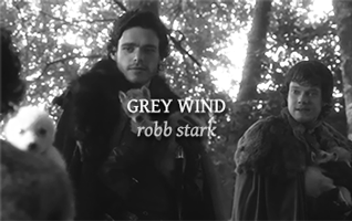 tumblr_o8v4y2WVho1u79aijo2_400.gif