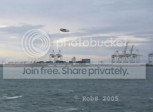 VancouverIsland2005b.jpg
