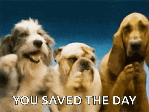dogs-clap.gif