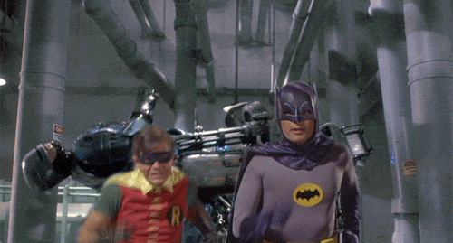 giphy.gif