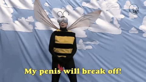 giphy.gif