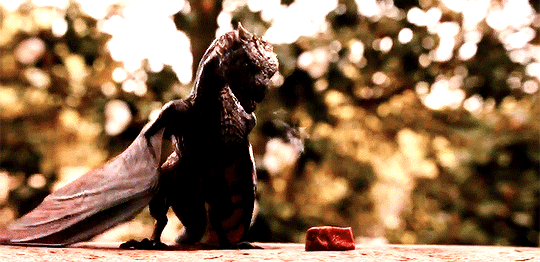 tumblr_oubchfHrBX1so1nhno1_r5_540.gif