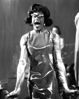 myrtle.bmp