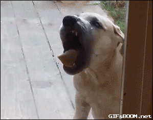source.gif